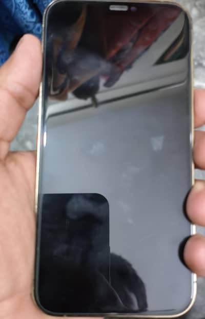 Apple iPhone 12 Pro