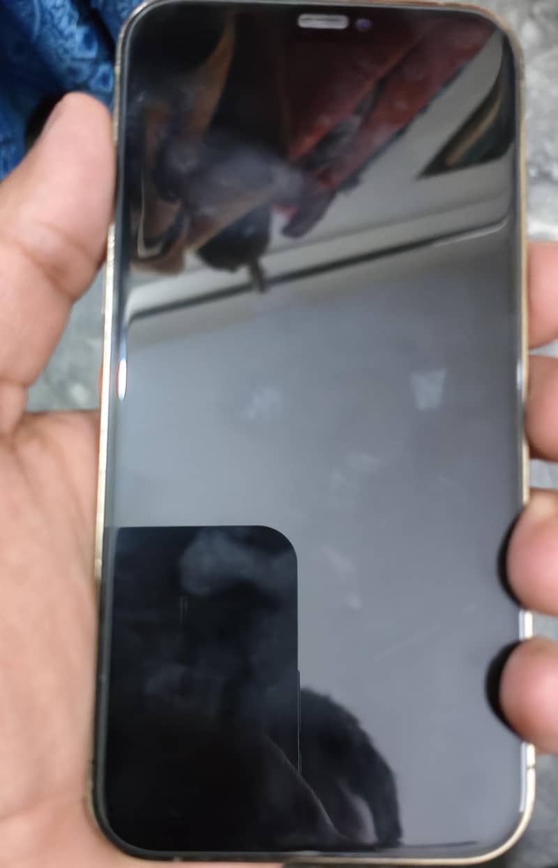Apple iPhone 12 Pro 0