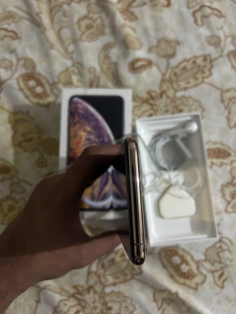 Apple iPhone XS Max 1