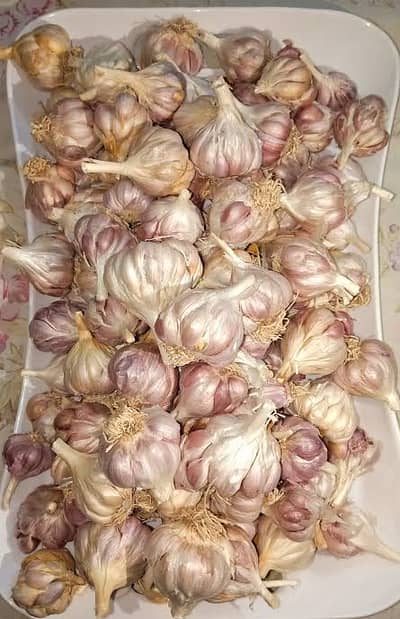 Desi Garlic Lahsan