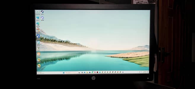 HP Moniter P223