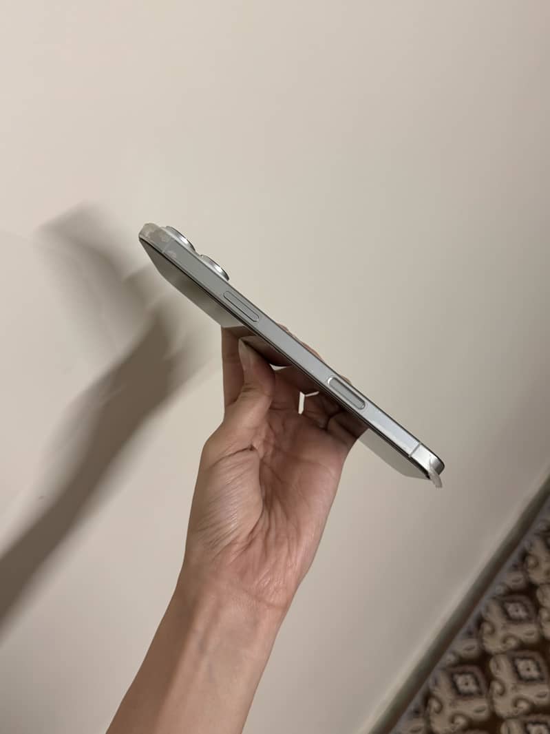 Apple iPhone 16 Pro Max 1