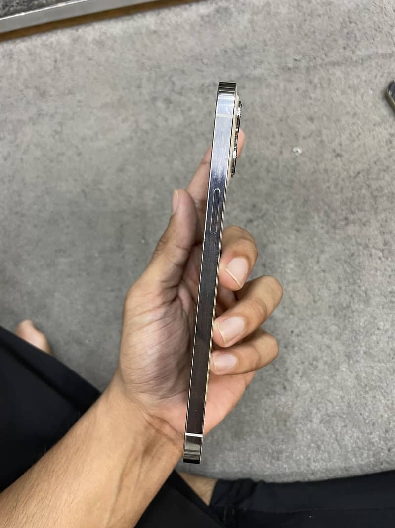 Apple iPhone 12 Pro Max 1