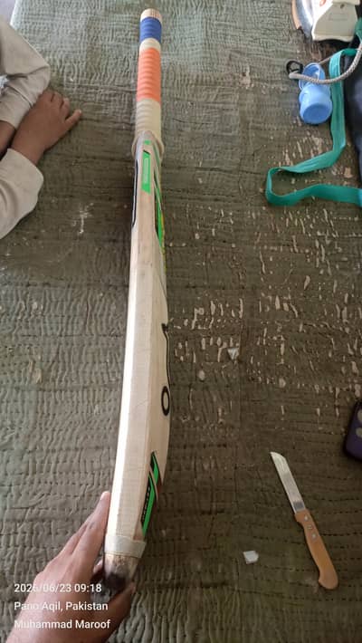 Cocabora English Willow bat hai