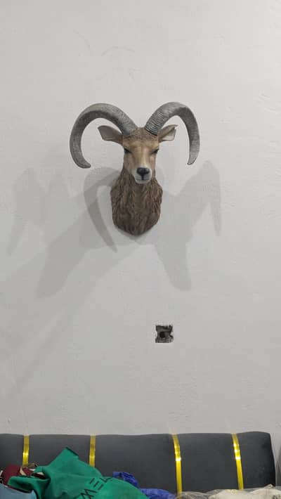 wild  sheep for decor