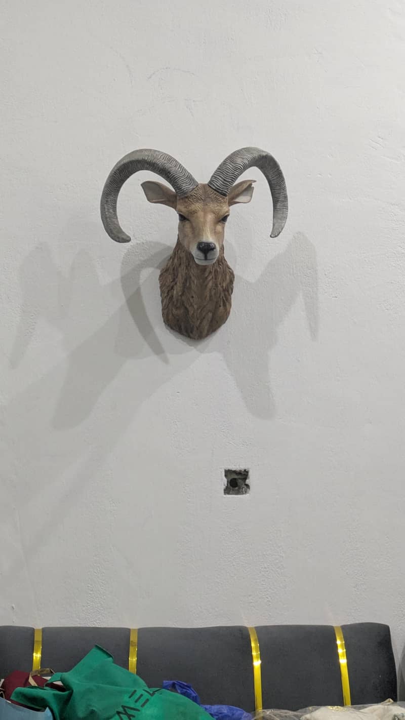 wild  sheep for decor 0
