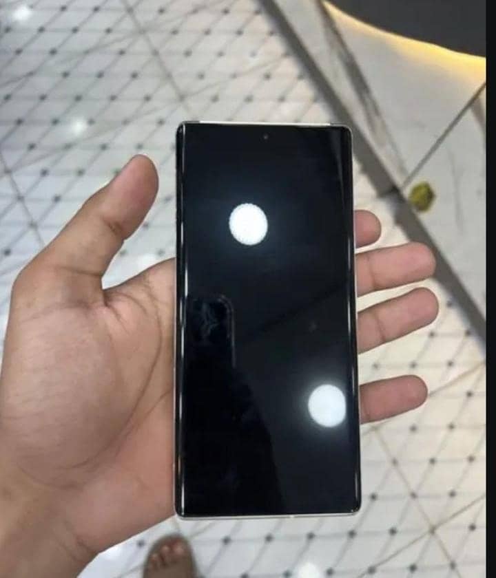 Google Pixel 6 Pro 1