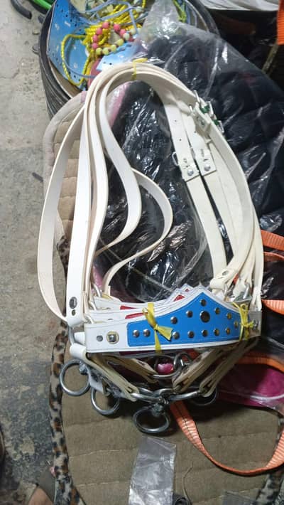 Buffalo Face Halter - Talyara - Heavy Duty - For Buffalo Cow - Gujrat