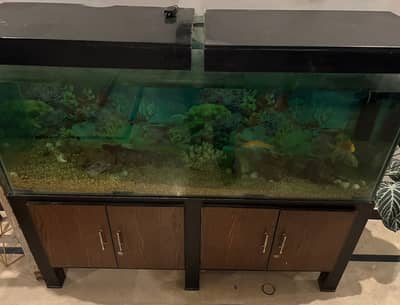 Custom Made Extremely Durable Aqaurium with Cabinets