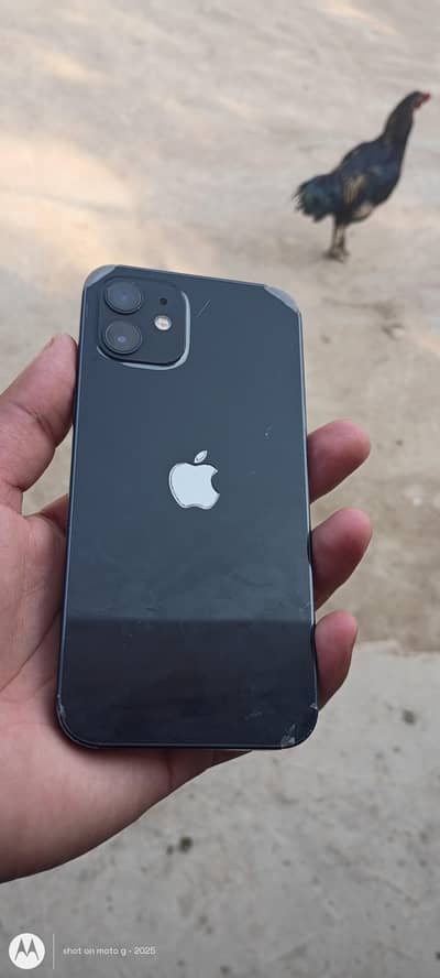Apple iPhone 12
