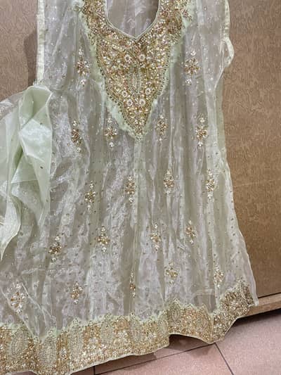 Organza dress