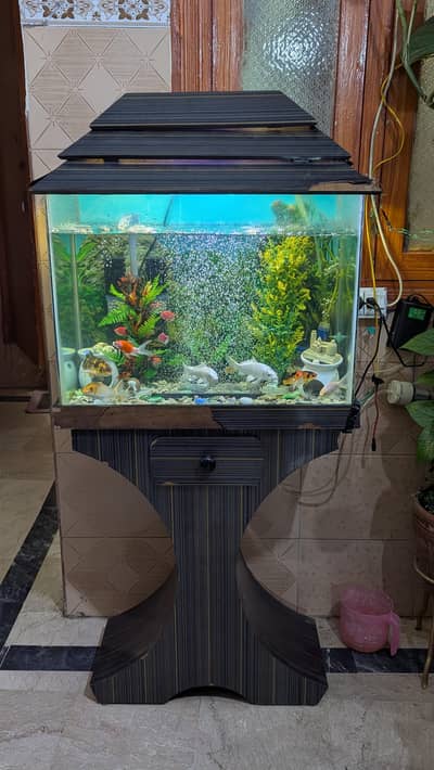 AQUARIUM WITH FISHES