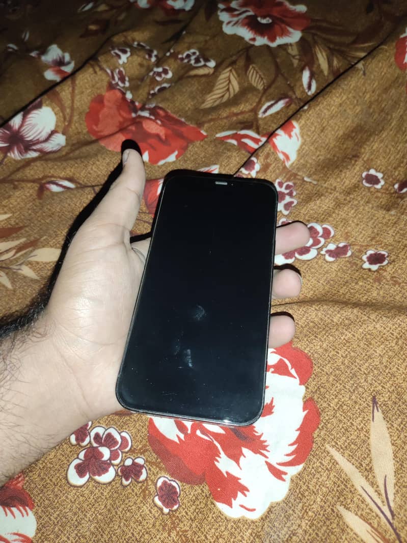 Apple iPhone 12 Pro Max 1