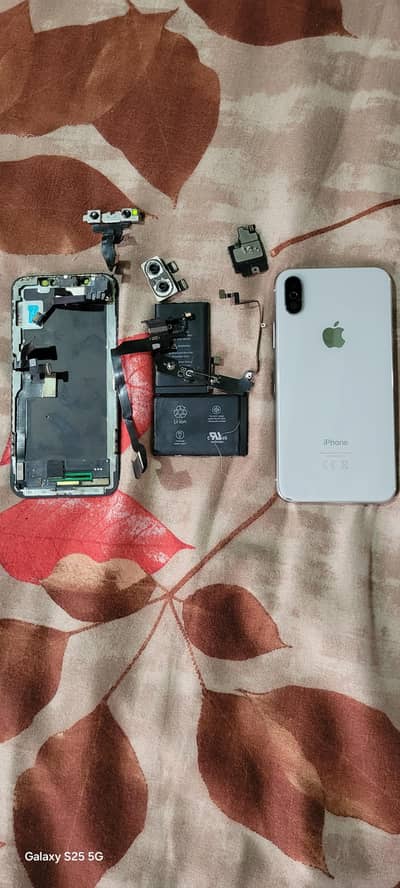 Apple iPhone X or pats board dead