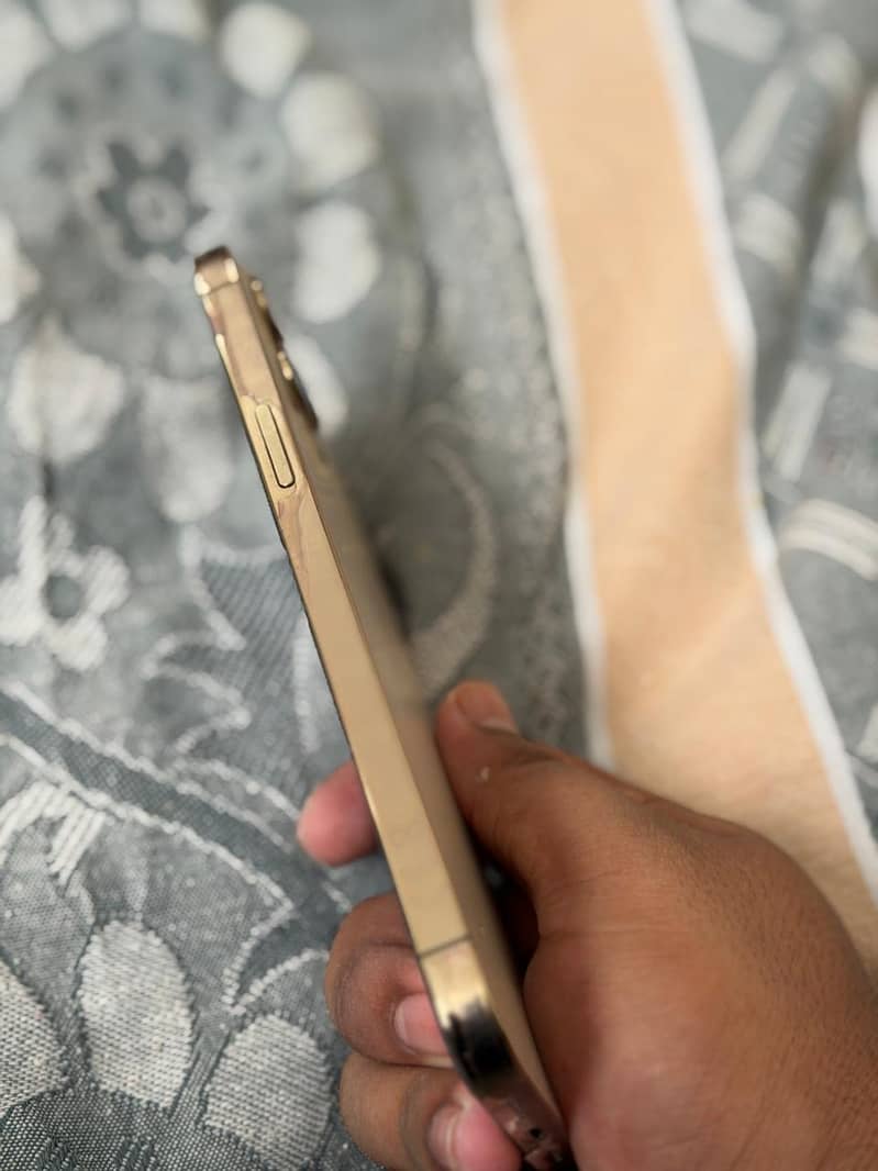 Apple iPhone 12 Pro Max 1