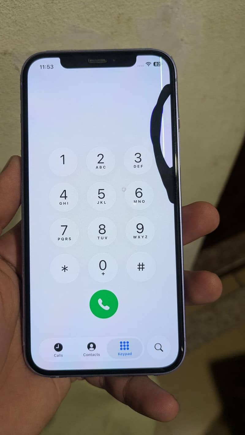Apple iPhone 12 1