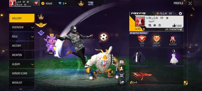 Only 4k
