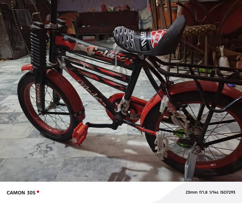 cycle size 20 3