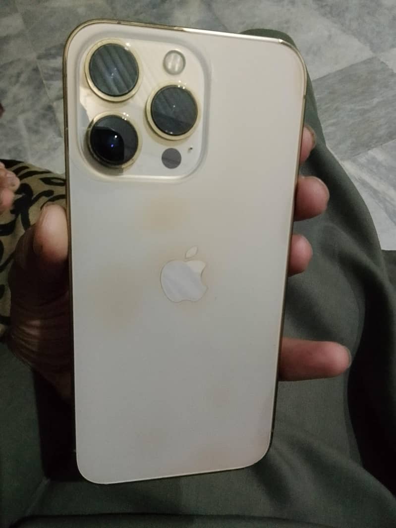 Apple iPhone 13 Pro 0