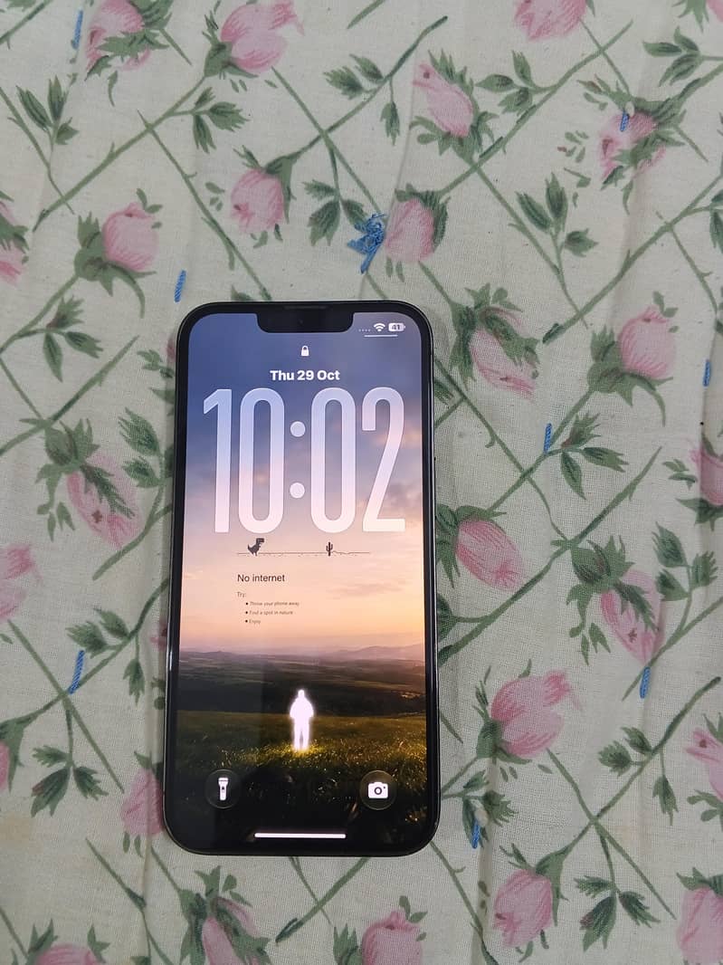 Apple iPhone 13 Pro 0