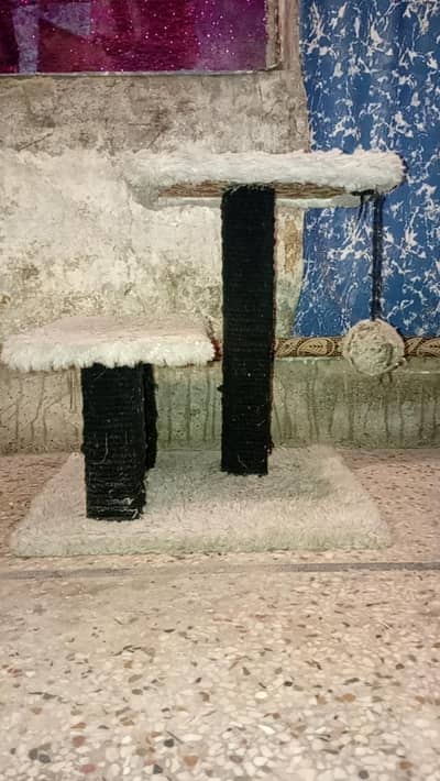 scratch pole