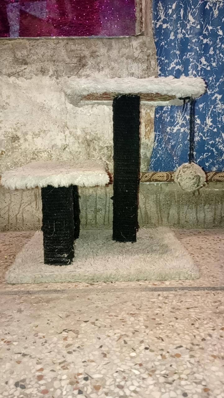 scratch pole 0