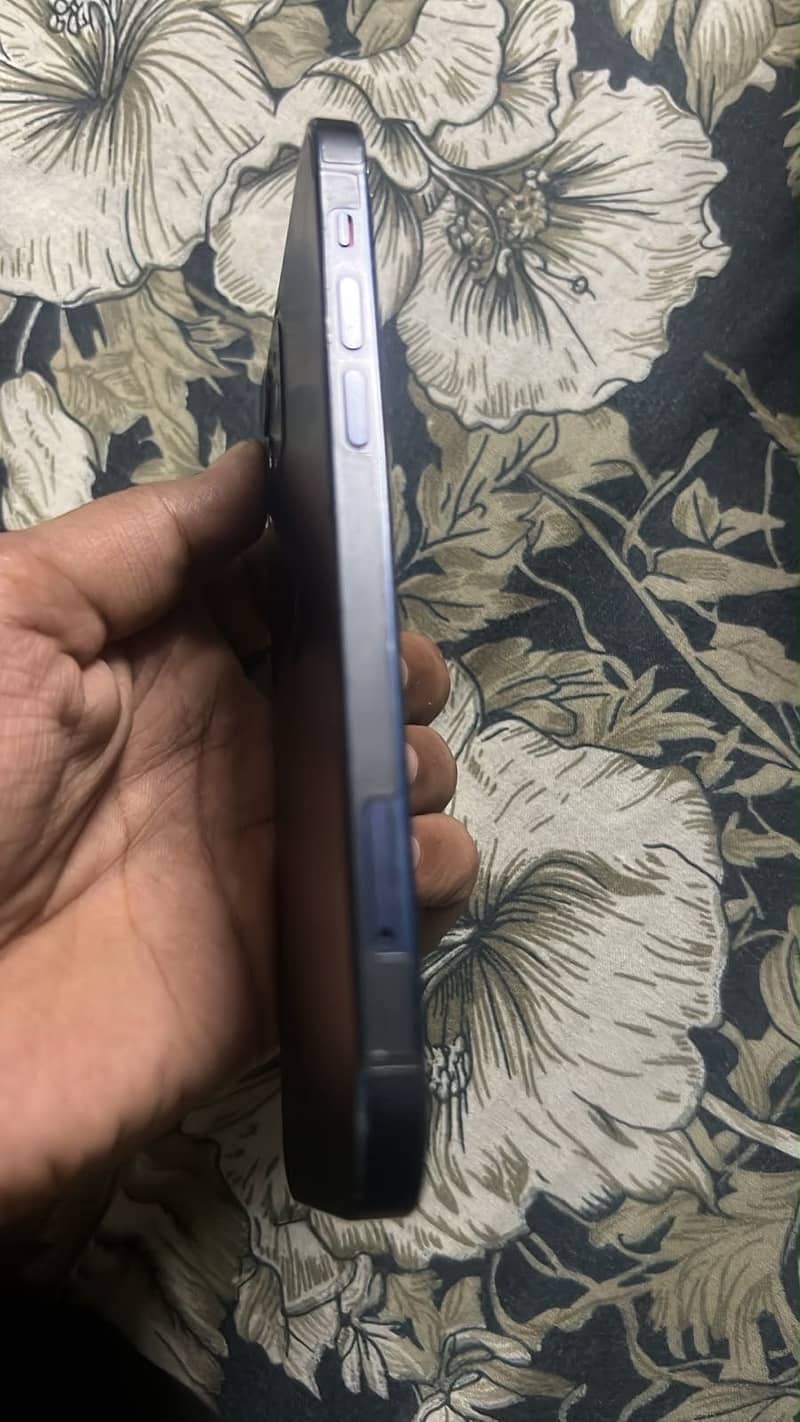 Apple iPhone 12 1