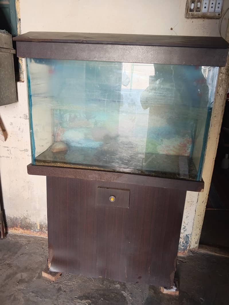 Aquarium 0