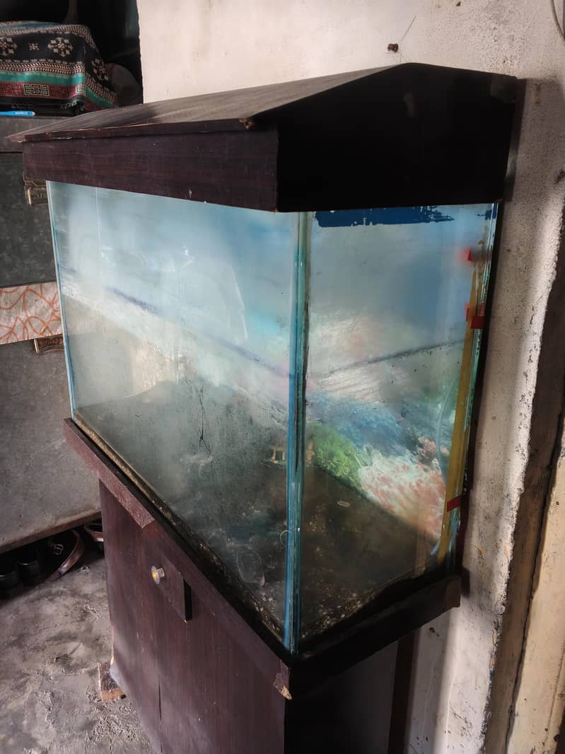Aquarium 2