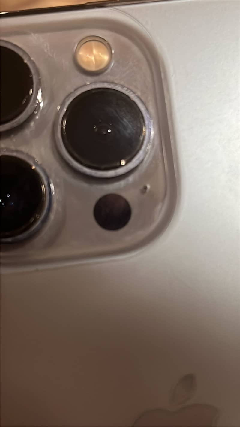 Apple iPhone 13 Pro 1