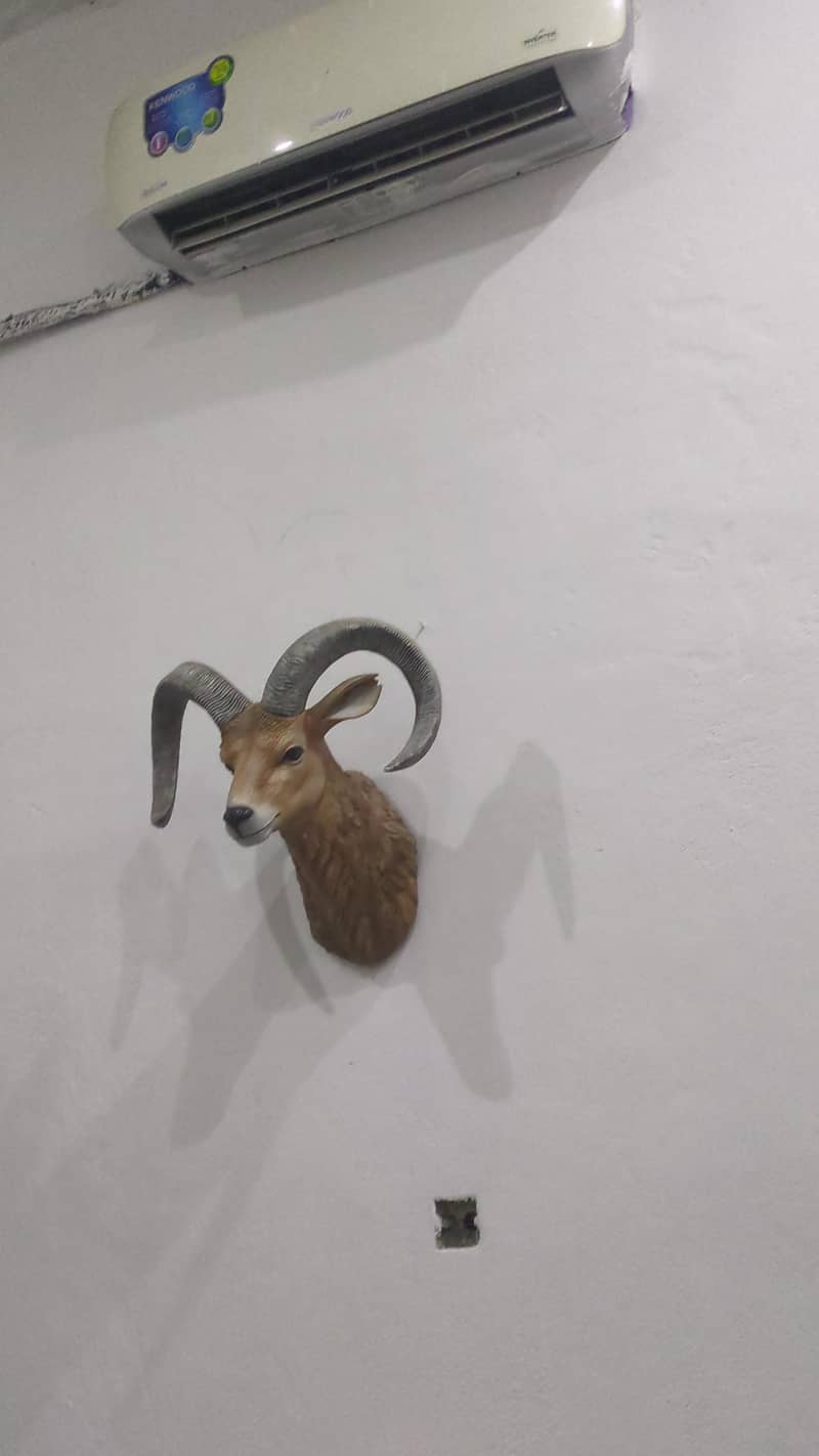 wild  sheep for decor 1
