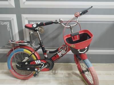 Italian mailedi imported bicycle