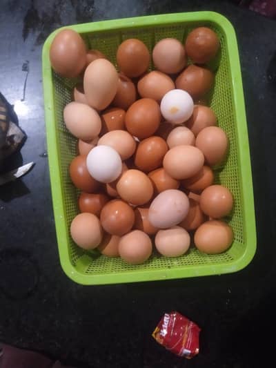 Original desi eggs of pure aseel murghi