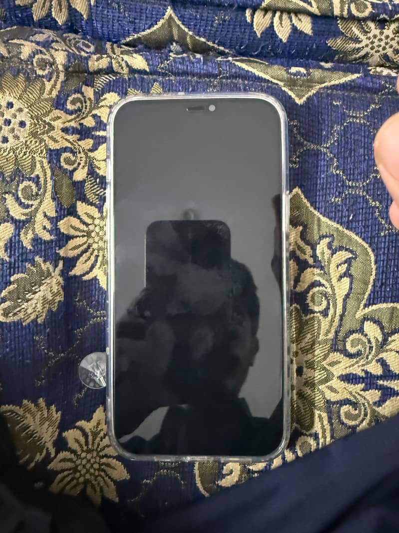 Apple iPhone 12 Pro Max 1