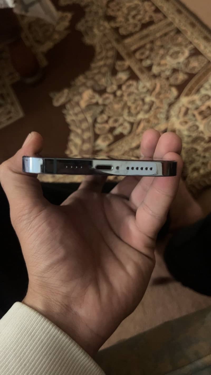 Apple iPhone 13 Pro Max 2