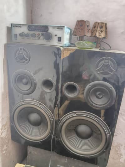 2 speaker 10 inch with amplifier