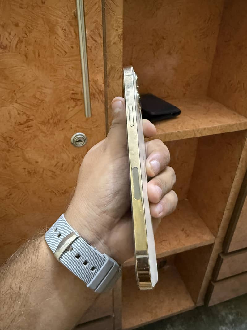 Apple iPhone 12 Pro Max 1