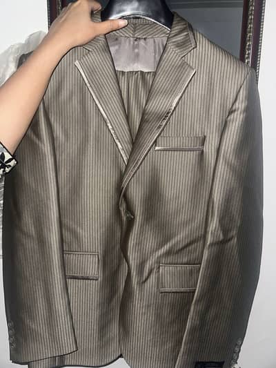 Pant coat