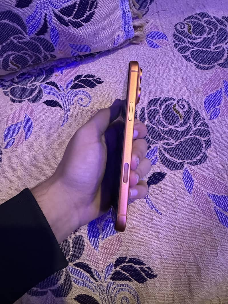 Apple iPhone 17 Pro Max 1