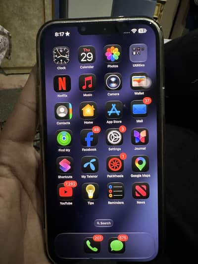Apple iPhone 13 Pro Max