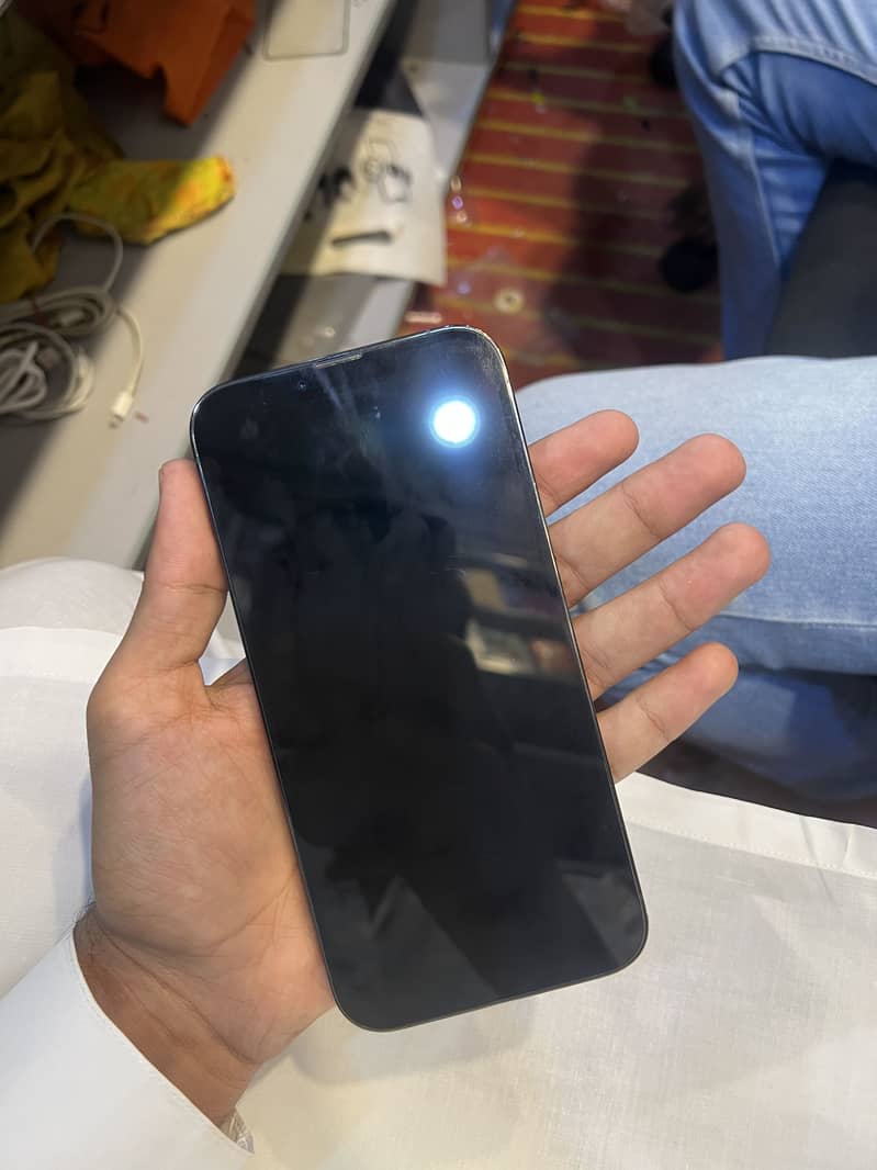 Apple iPhone 13 Pro Max 1