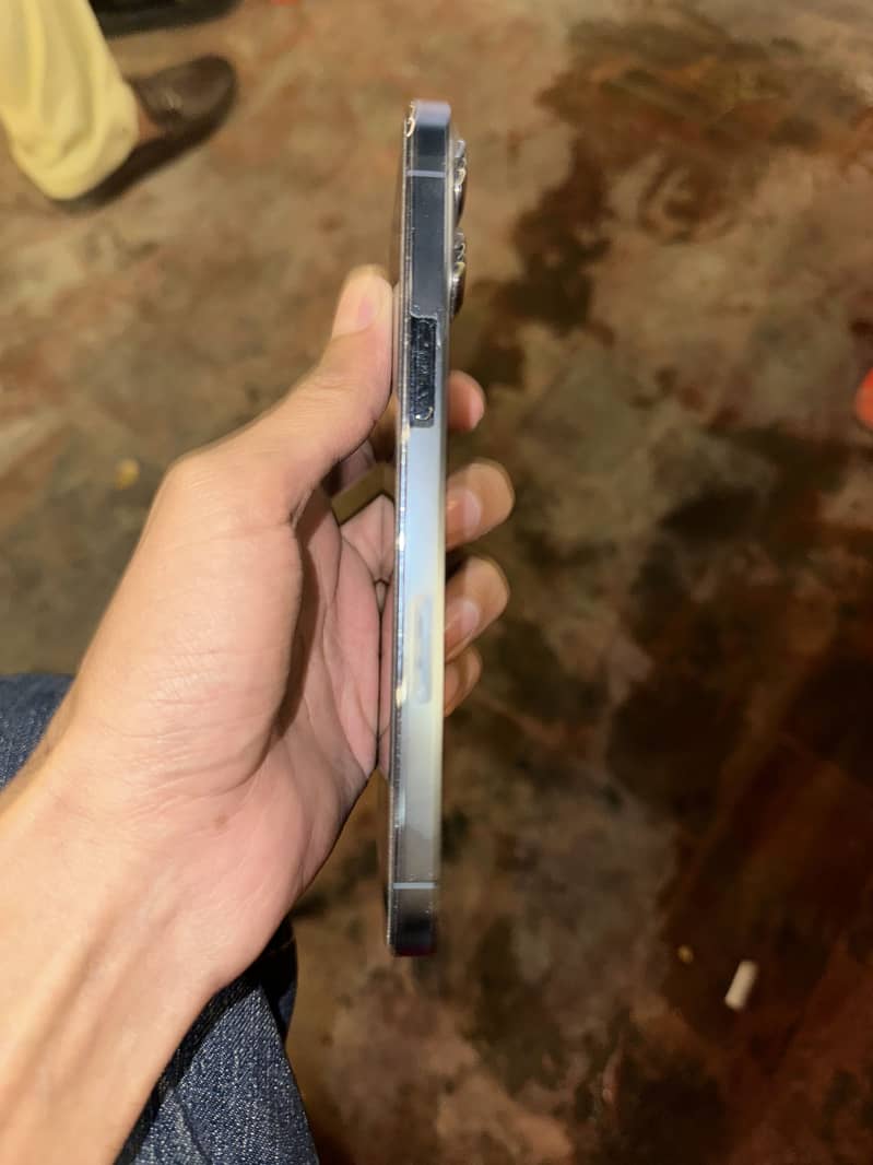Apple iPhone 13 Pro Max 1