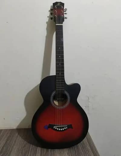 professional beginner Guitar