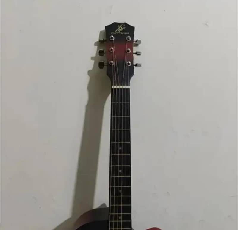 professional beginner Guitar 1