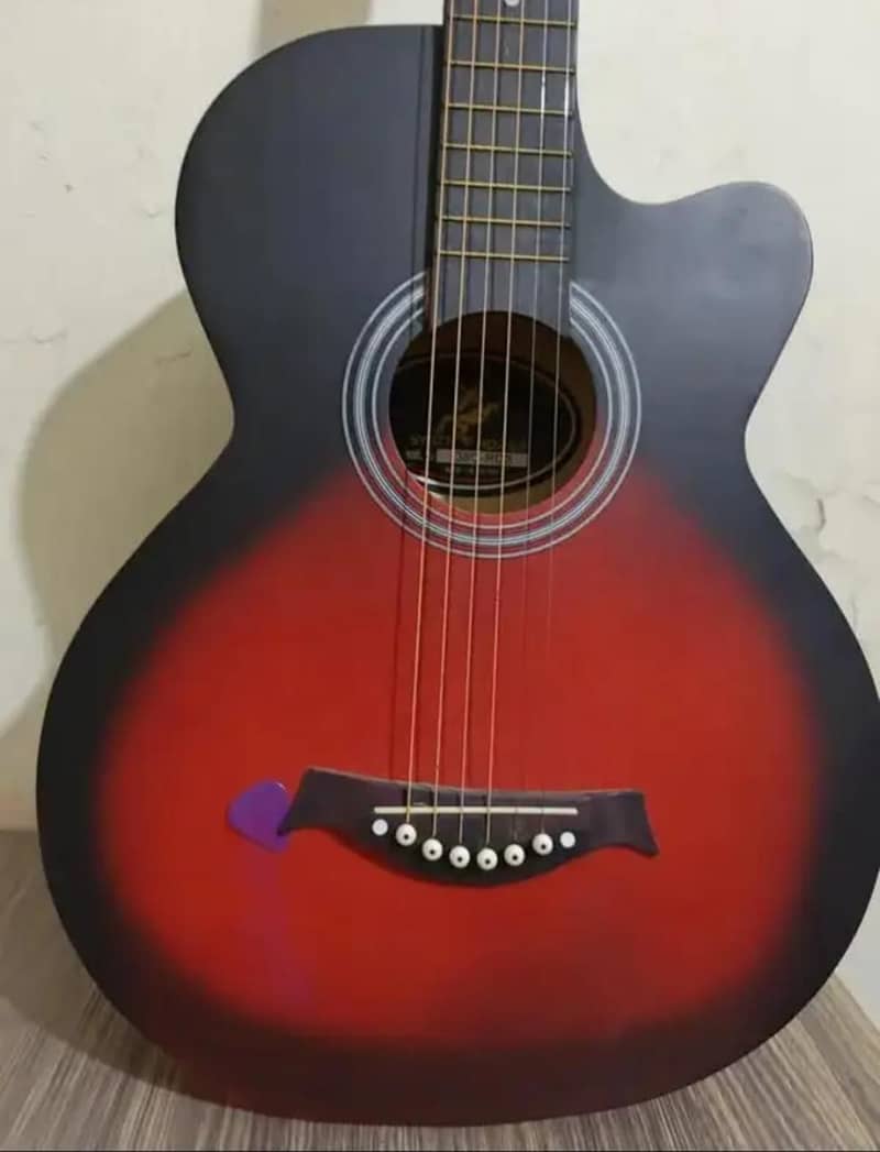 professional beginner Guitar 2