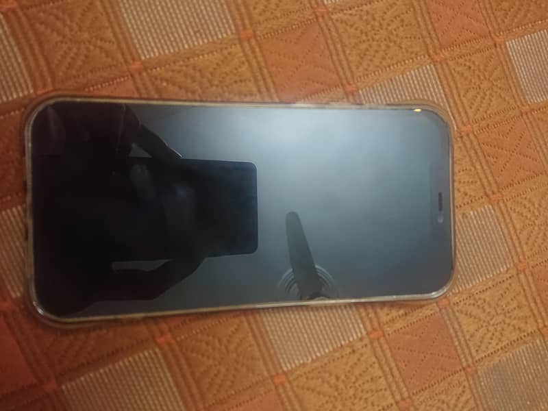 Apple iPhone 12 Pro Max 1
