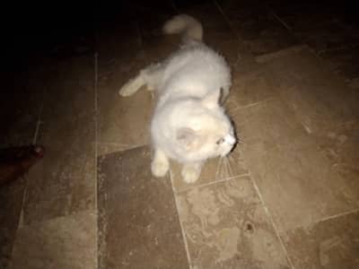 good condition