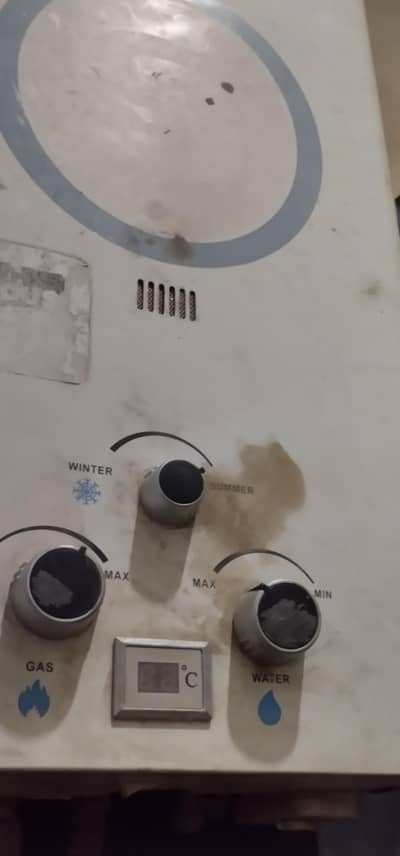 Instant Geyser