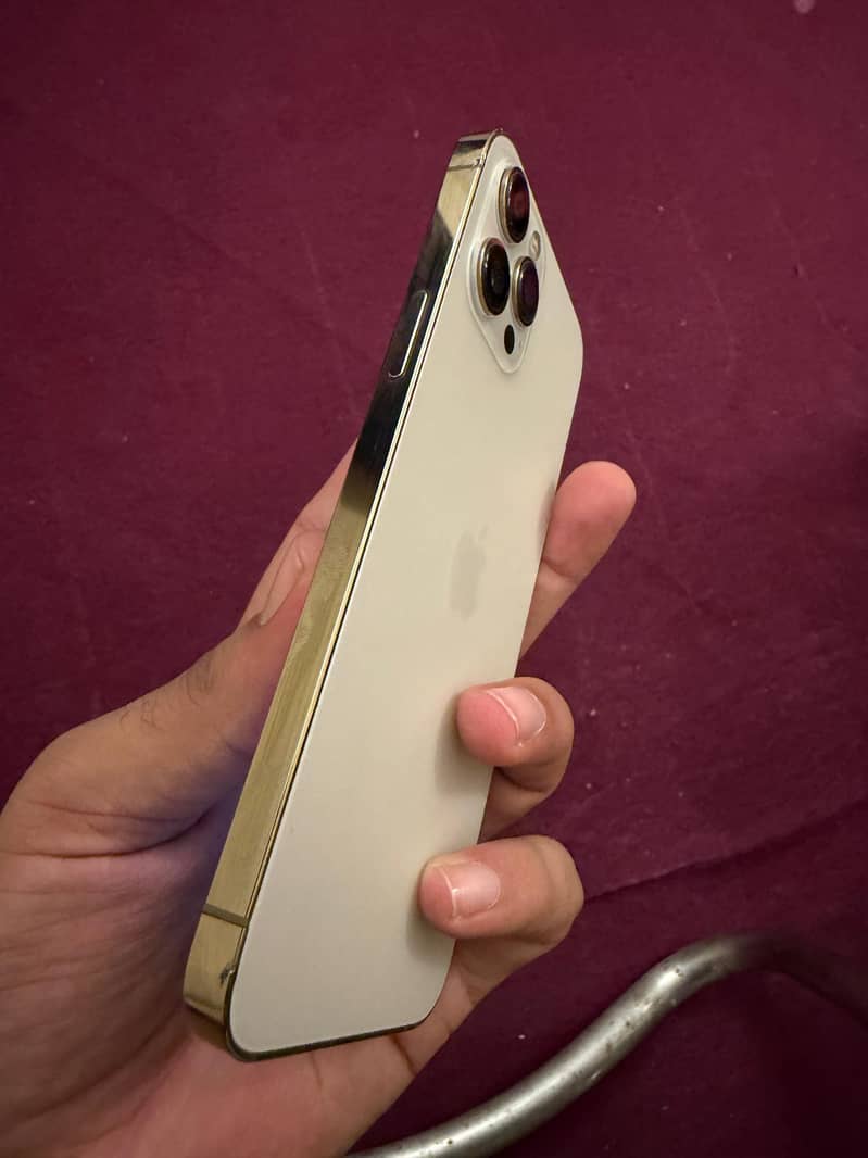 Apple iPhone 12 Pro Max 1