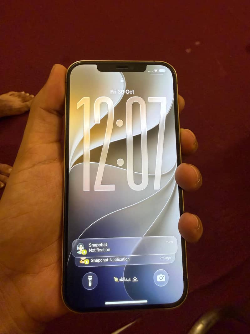 Apple iPhone 12 Pro Max 8